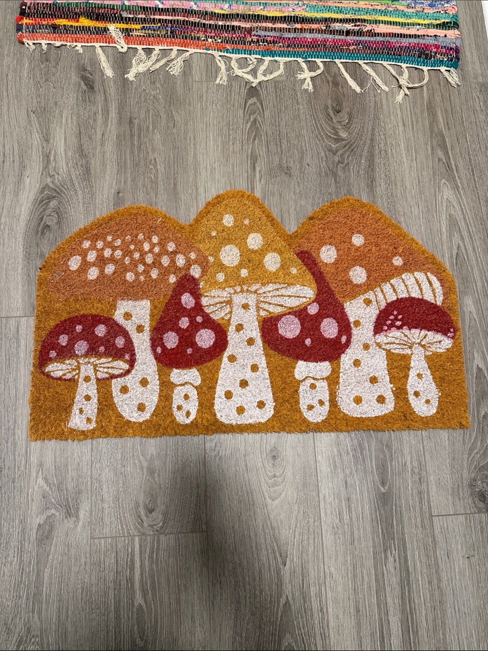 Decorative Orange and Red Mushroom Doormat